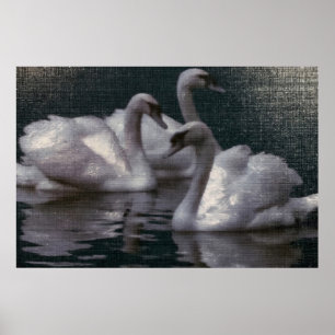 Affiche Lac des cygnes au clair de lune