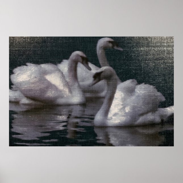 Affiche Lac des cygnes au clair de lune (Devant)