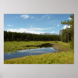 Affiche Lac des Cygnes I dans le parc national de Grand Te