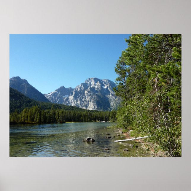 Affiche Lac Leigh dans le parc national de Grand Teton (Devant)