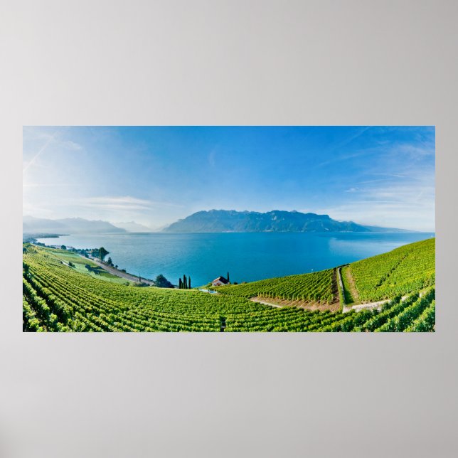 Affiche Lac Léman 017 (Devant)