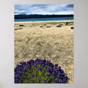 Affiche Lac Simax Bay