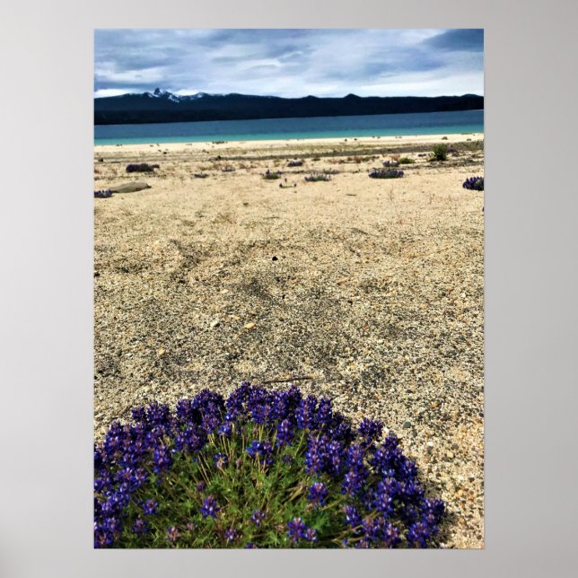 Affiche Lac Simax Bay (Devant)
