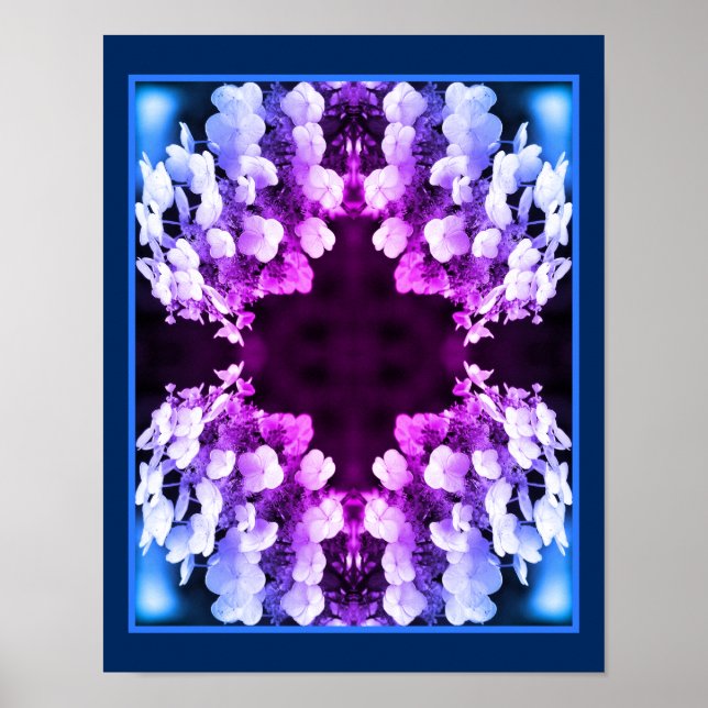Affiche Lacecap Hydrangea Noir Blanc teint Abstrait (Devant)
