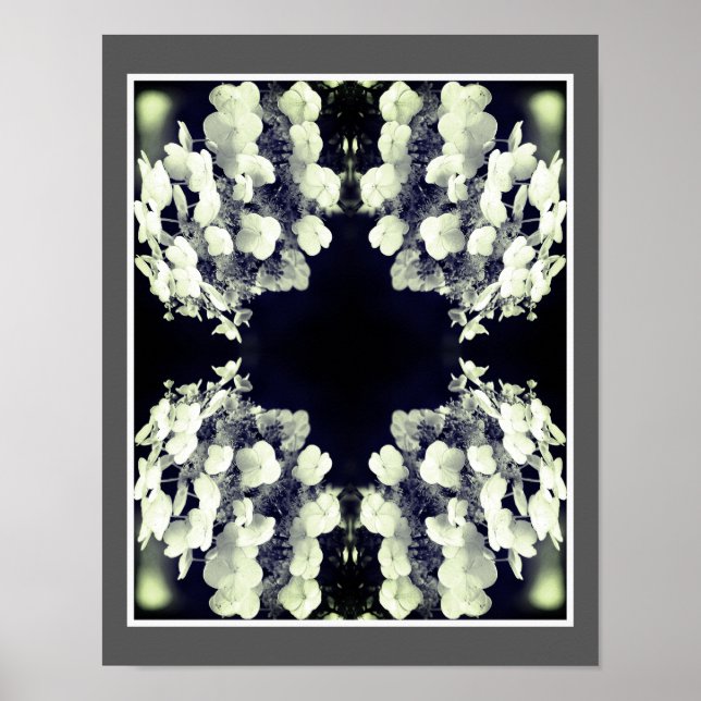 Affiche Lacecap Hydrangea Noir Et Blanc Abstrait (Devant)