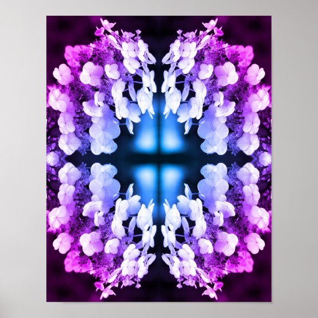 Affiche Lacecap Hydrangea Noir Et Blanc Abstrait Tinté (Devant)
