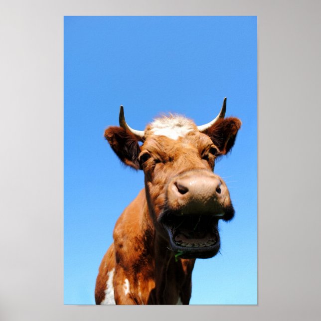 Affiche Lachende Kuh (Devant)