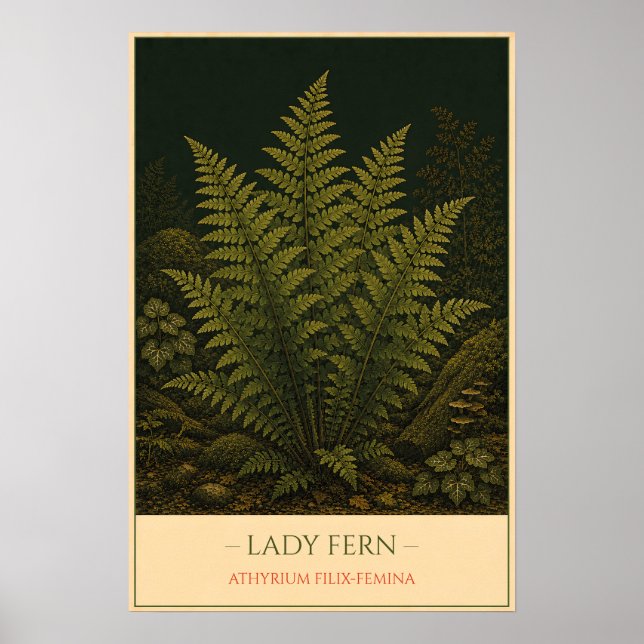 Affiche Lady Fern – Vintage Botanical Illustration (Devant)