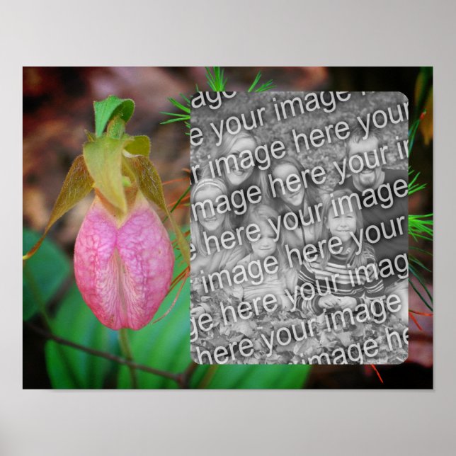 Affiche Lady Slipper Orchid Frame Ajouter Votre Photo (Devant)