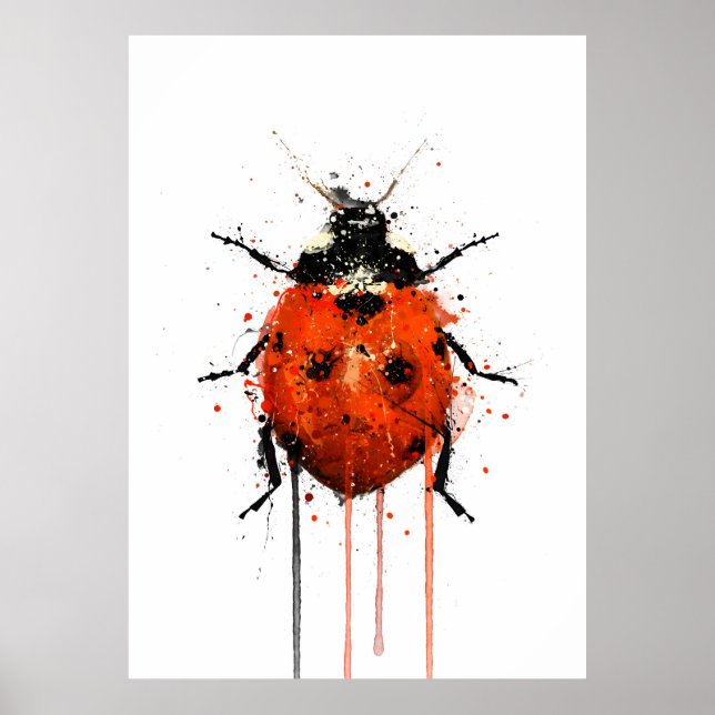 Affiche Ladybug (Devant)