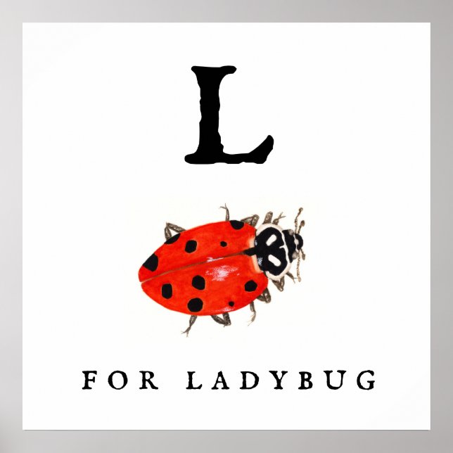Affiche Ladybug (Devant)