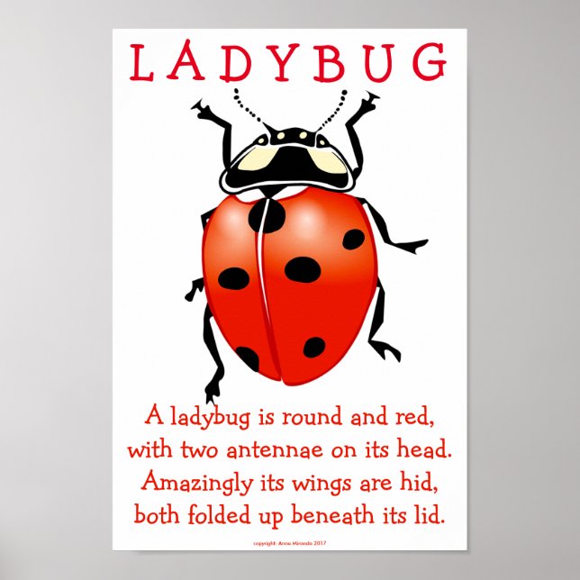 Affiche Ladybug (Devant)