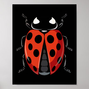 Affiche Ladybug Adulte Enfants Hommes Femmes Ladybug Costu