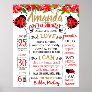 Affiche Ladybug Lady bug Birthday Party board