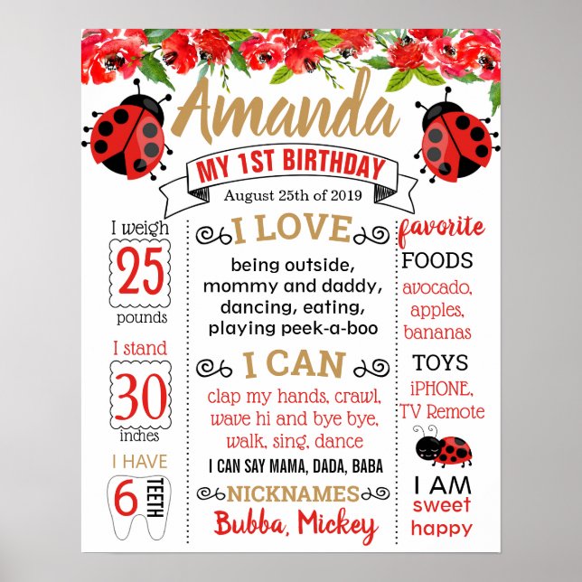 Affiche Ladybug Lady bug Birthday Party board (Devant)