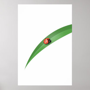 Affiche Ladybug Leaf
