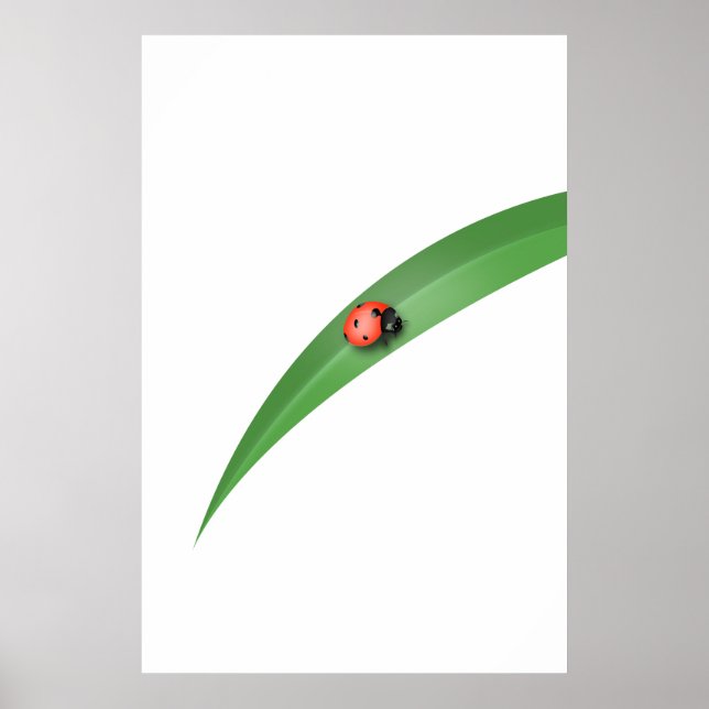 Affiche Ladybug Leaf (Devant)