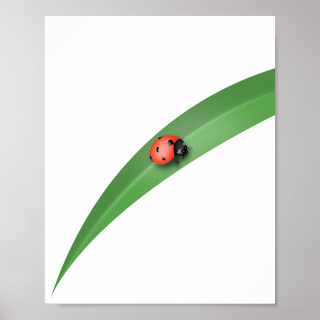 Affiche Ladybug Leaf (Devant)