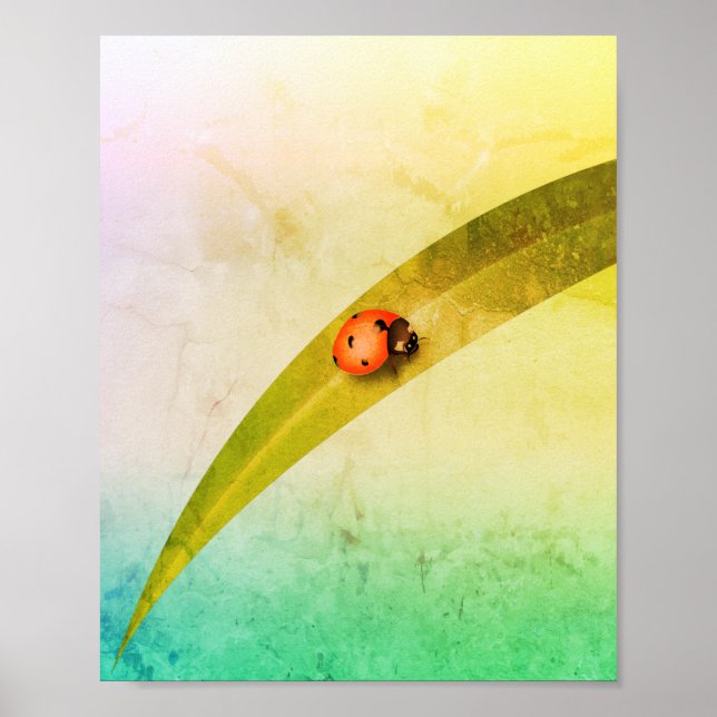 Affiche Ladybug Leaf (Devant)