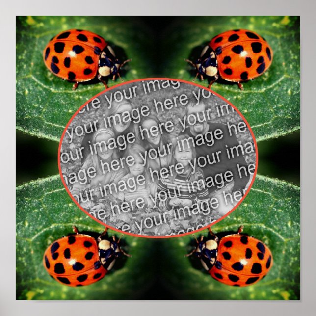 Affiche Ladybug On Leaf Frame Créez Votre Propre Photo (Devant)