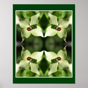 Affiche Ladybug sur blanc Dogwood Fleur Nature Abstraite