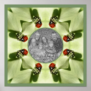 Affiche Ladybug Sur Dogwood Nature Ajouter Votre Photo