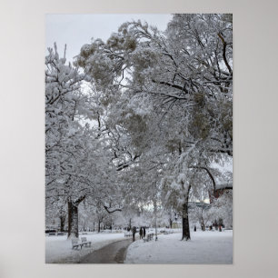 Affiche Lafayette Carré, Washington, DC, sentier d'hiver
