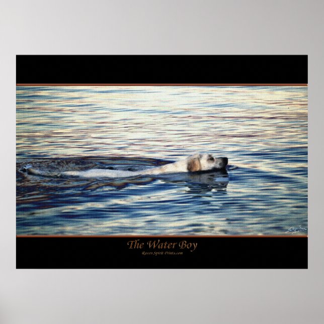 Affiche L'affiche d'art du chien de l'EAU (Devant)