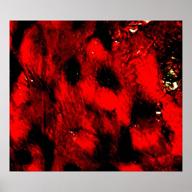 Affiche L'affiche de Burning Man (Devant)