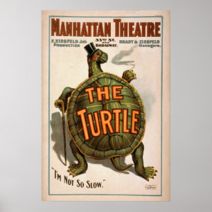 Affiche L'affiche de VAUDEVILLE de jeu de la TORTUE de