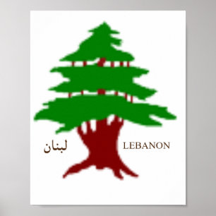 Affiche L'affiche du Cèdre antique du Liban