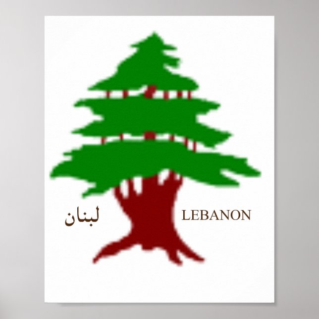 Affiche L'affiche du Cèdre antique du Liban (Devant)