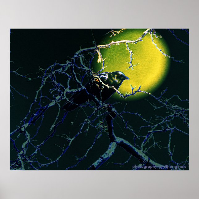 Affiche L'affiche du Corbeau (Devant)