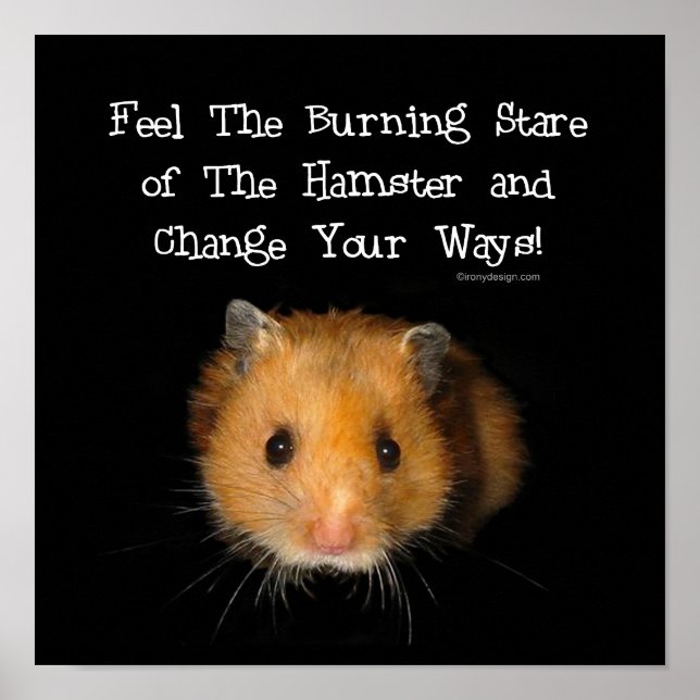 Affiche L'affiche du hamster (Devant)