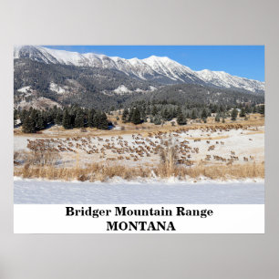 Affiche L'affiche du mont Bridger dans le Montana