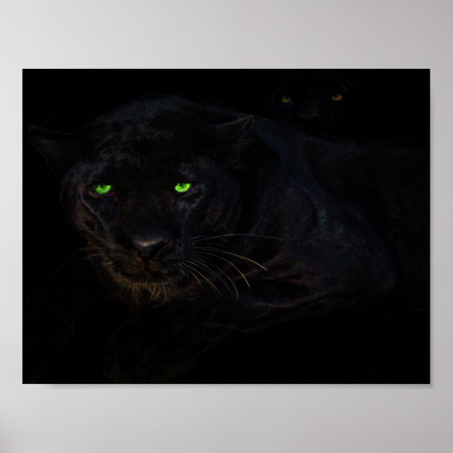 Affiche L'affiche en panthère noire (Devant)