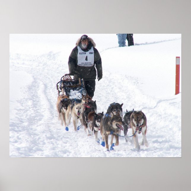 Affiche L'affiche finale de l'étirement (Devant)