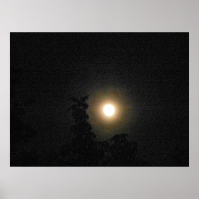 Affiche L'affiche HUNTERS MOON (Devant)