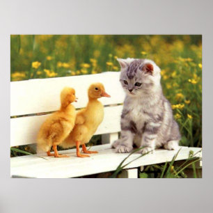 Affiche L'affiche laide de canard