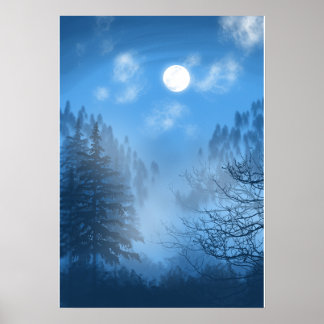 Affiche L'affiche Silent Canopy