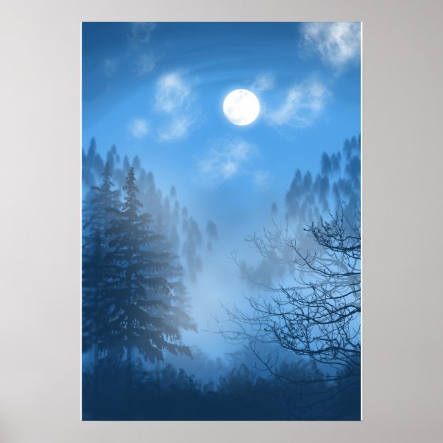 Affiche L'affiche Silent Canopy (Devant)