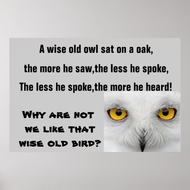 Affiche L'affiche WISE OLD OWL (Devant)