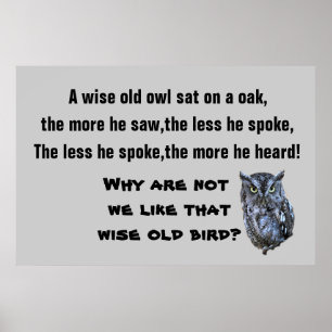 Affiche L'affiche WISE OLD OWL
