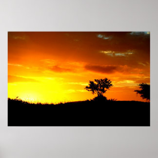 Affiche L'Afrique dort