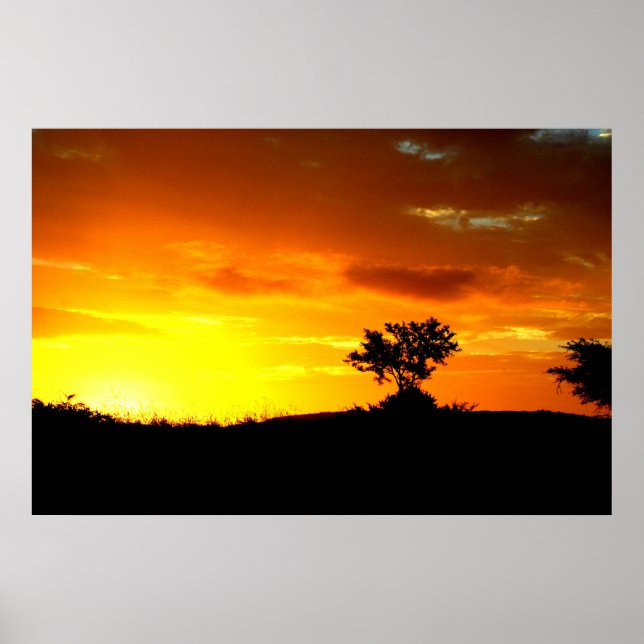 Affiche L'Afrique dort (Devant)