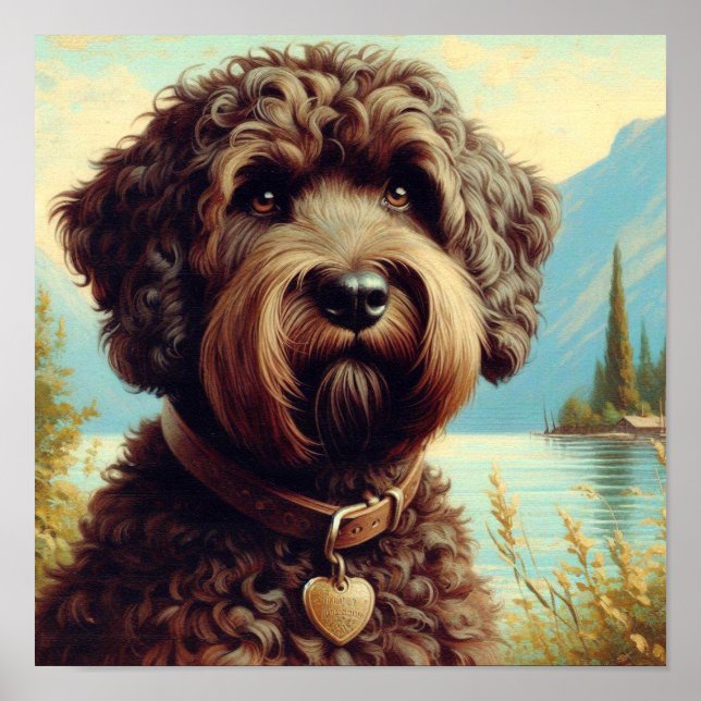 Affiche Lagotto vintage Romagnolo Peinture (Devant)