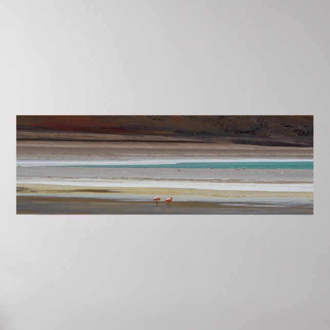 Affiche Lagune bolivienne avec Flamants roses - Photo (Devant)