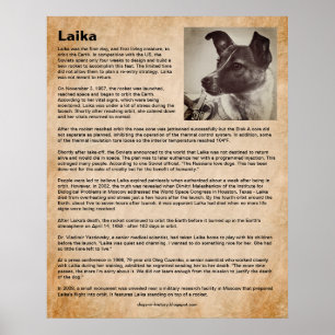 Affiche Laika, le premier chien dans l'espace