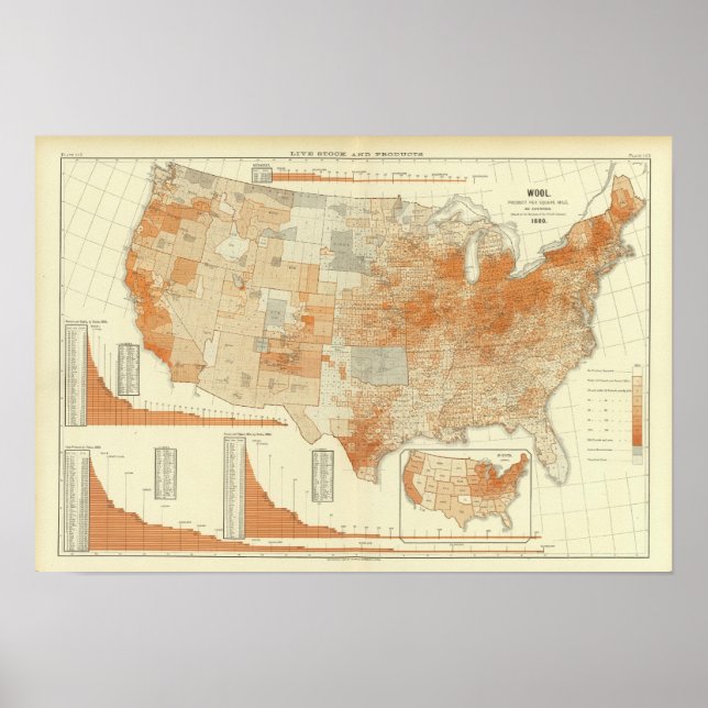 Affiche Laine (Devant)