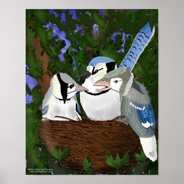 Affiche Laisser l'affiche du nid Blue Jay (Devant)